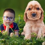 Hundens historia – hundens sinnen och dess framtid hos människan